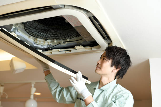 Best Affordable Duct Cleaning Services  in Lake Grove, NY